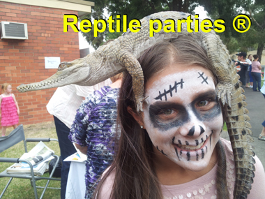 reptile parties